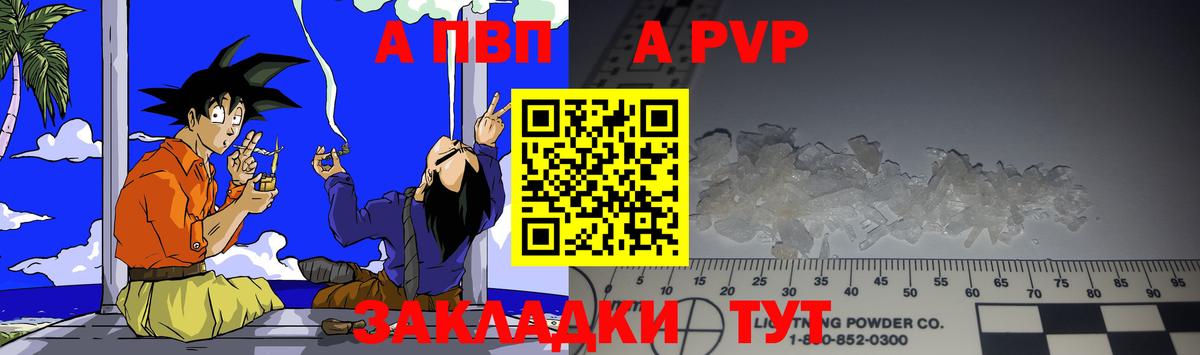Alfa_PVP СК Белгород