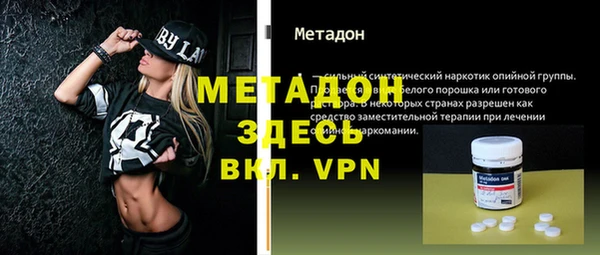 хмурый Аркадак