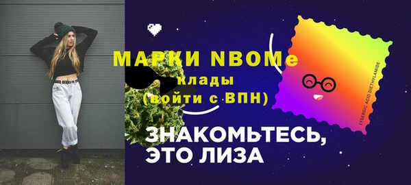хмурый Аркадак