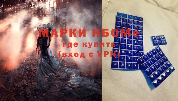 хмурый Аркадак