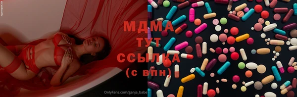 хмурый Аркадак