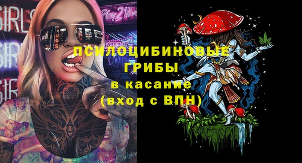 стаф Армянск