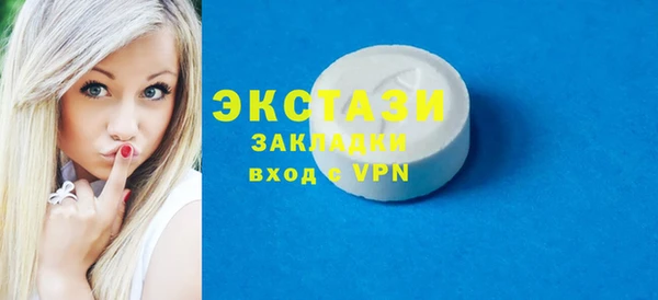 хмурый Аркадак