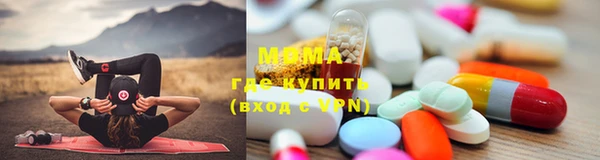 хмурый Аркадак