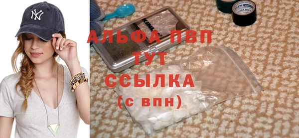 хмурый Аркадак