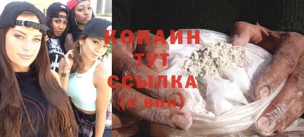 хмурый Аркадак