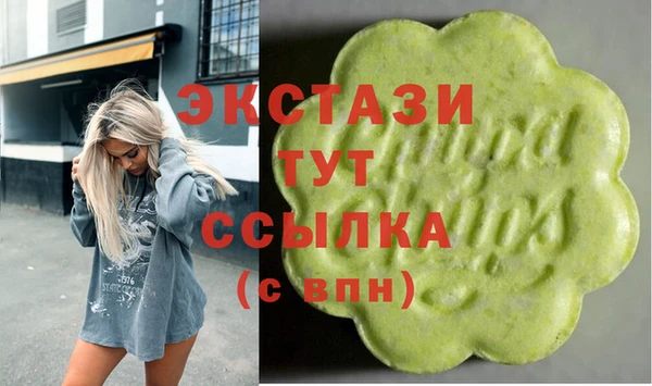 хмурый Аркадак