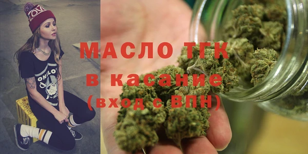 хмурый Аркадак