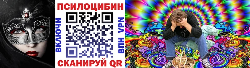 Галлюциногенные грибы Cubensis  закладка  Белгород 